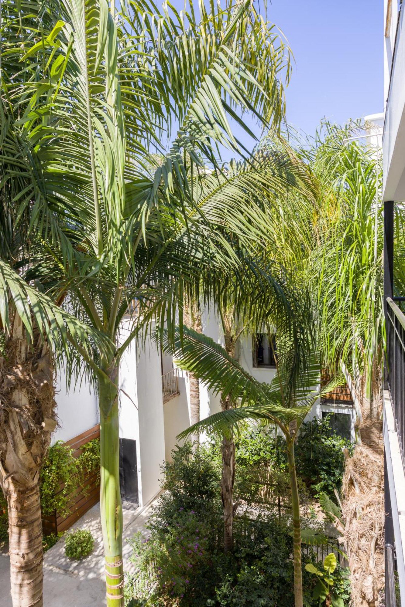 Alecos Hotel Apartments Pafos Zewnętrze zdjęcie